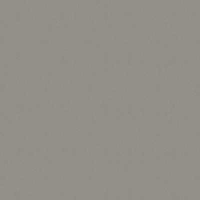 картинка Столешница Egger Алюминий мелкоматированный F502 ST2 (300/3) от магазина Веботделка.рф